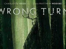 Wrong Turn Wrong Turn (also known as Wrong Turn: The Foundation) is a 2021 horror film directed by Mike P. Nelson and written by Alan McElroy. The film is a rebo...